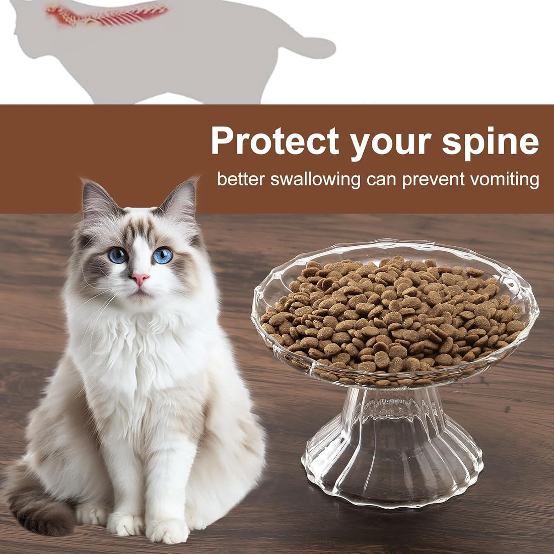 Elevated Cat Bowls Whisker Friendly. Raised Glass Whisker Fatigue Cat
