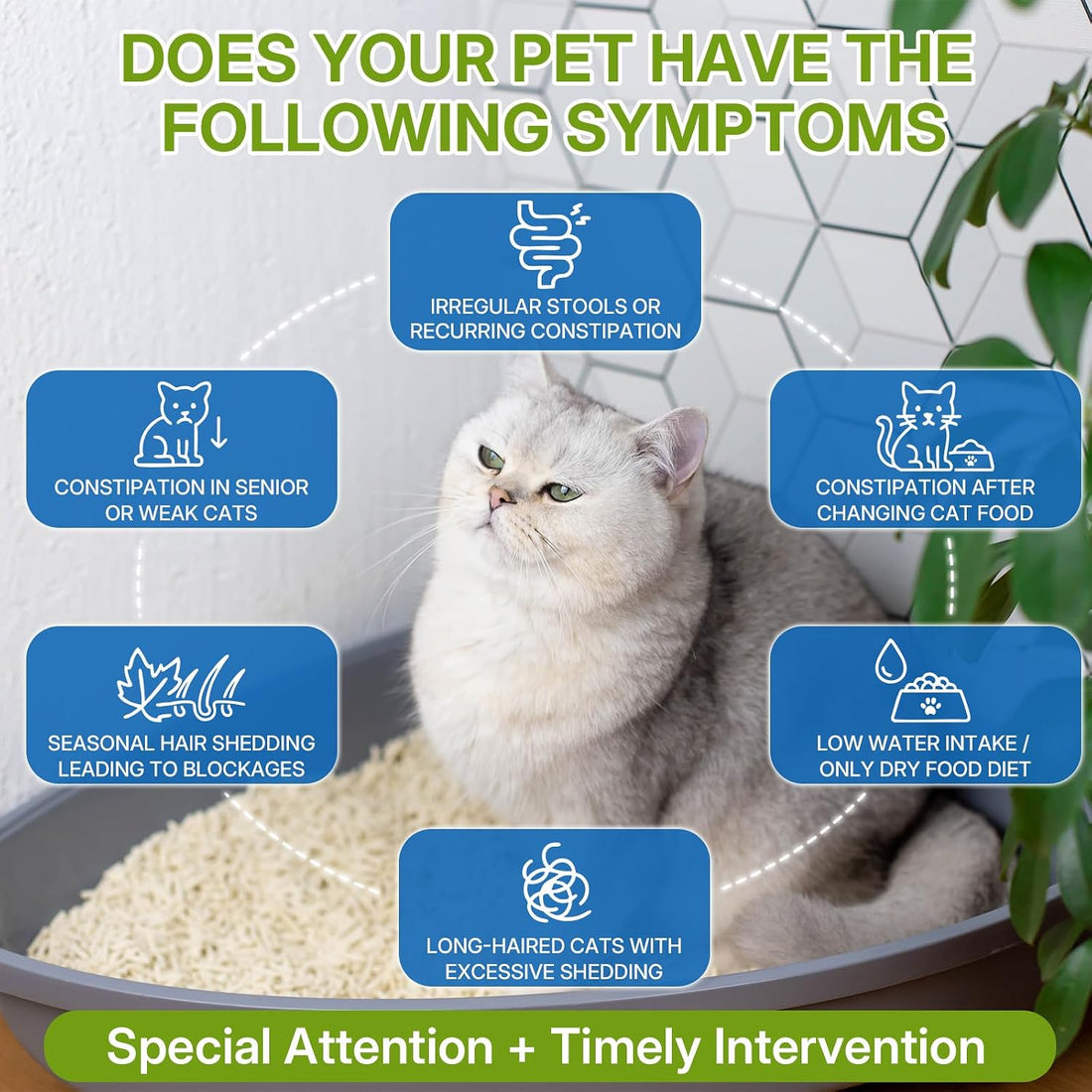Cat Constipation Relief, Promotes Digestive Chicken Flavor Health 60