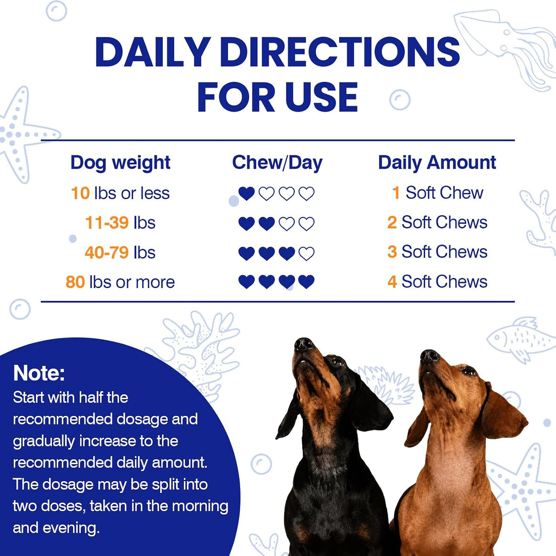 Omega 3 Skin and Coat Supplement for Dogs 200 Chews Dog Fish Oil
