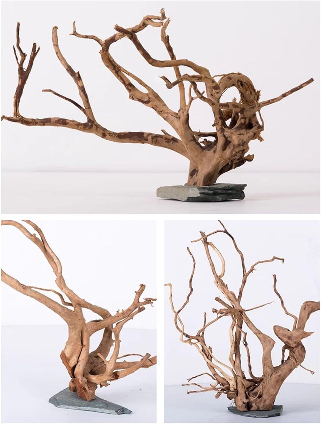 AWXZOM Natural Large Spider Wood Driftwood for Aquarium, Terrarium