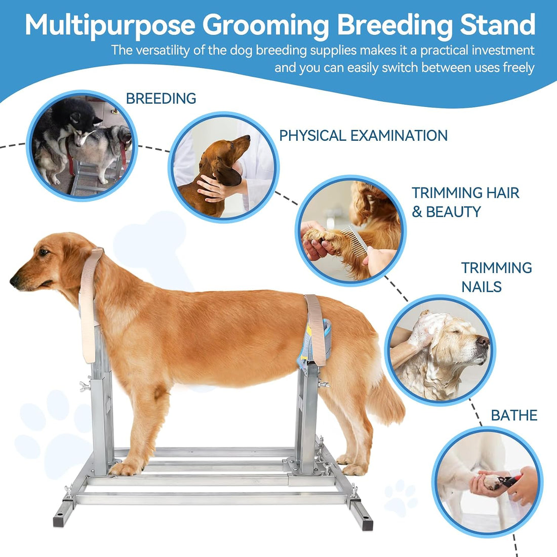 Dog Breeding Stand, Adjustable Stainless Steel Breeding Stand