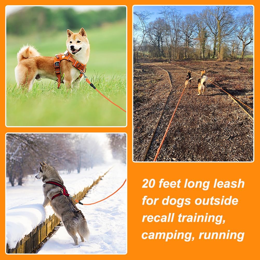 Vivifying Floating Long Dog Leash, 20FT Dog Training Leash