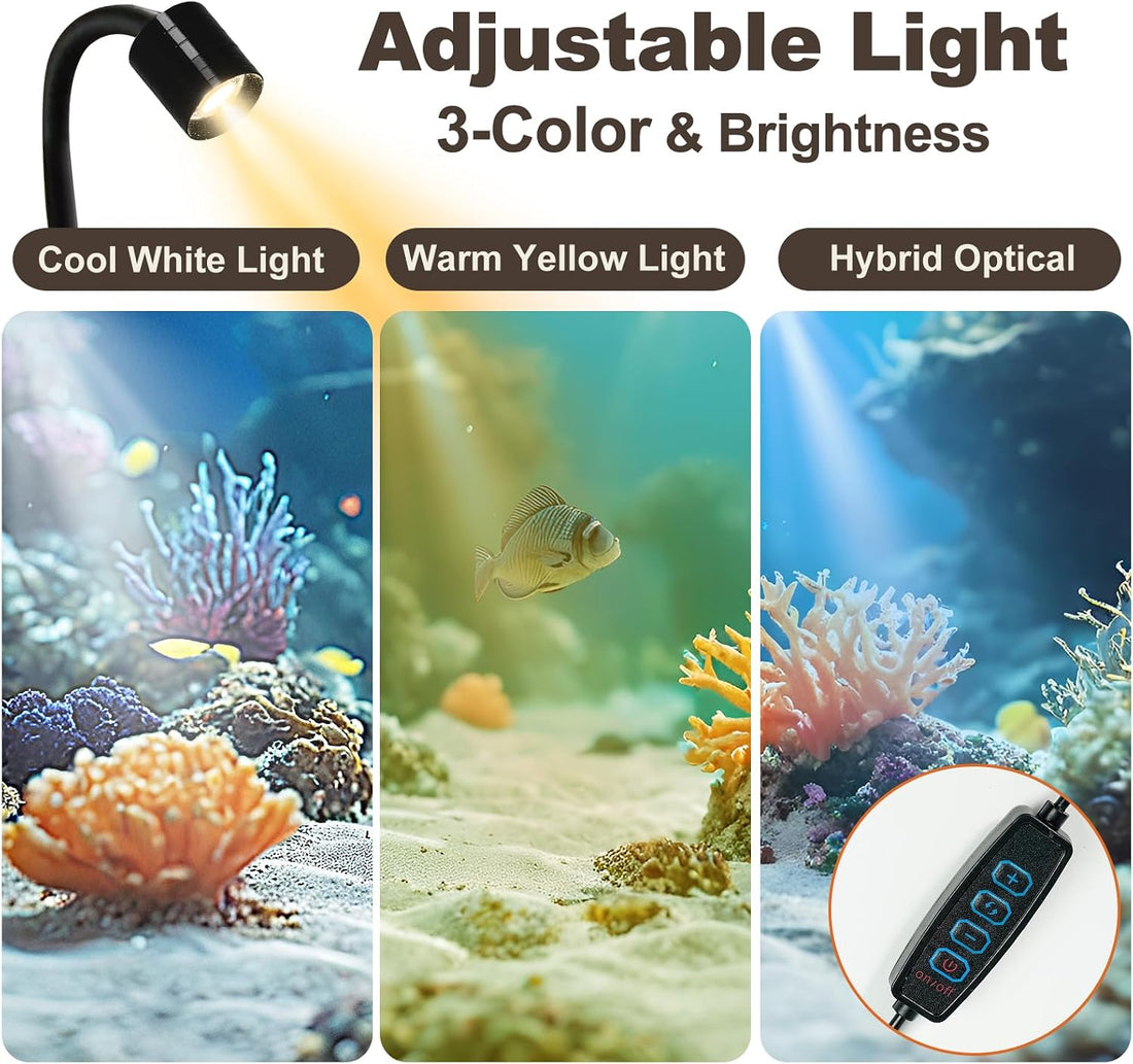 Desktop Aquarium Mini Tank Kit, 1.2 Gallon Rimless Cube with Filter