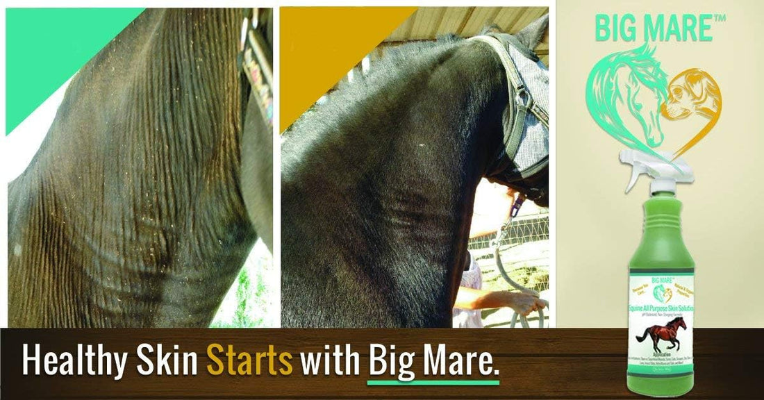 Big Mare Horse Skin & Wound Care Spray, 32 oz