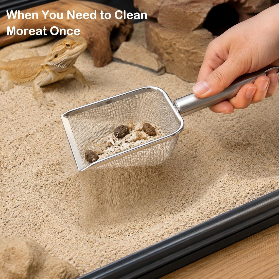 Stainless Steel Hamster Sand Bath Scoop Set With Hook and Cleaner