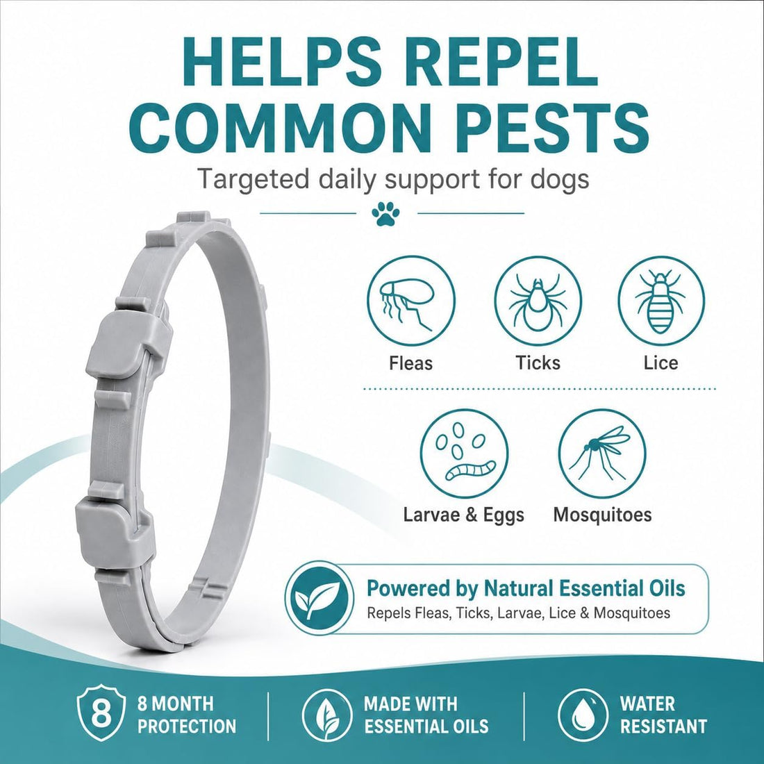 Craveit Flea and Tick Collar for Dogs, 4 Pack, Small Dogs Under 18 lbs