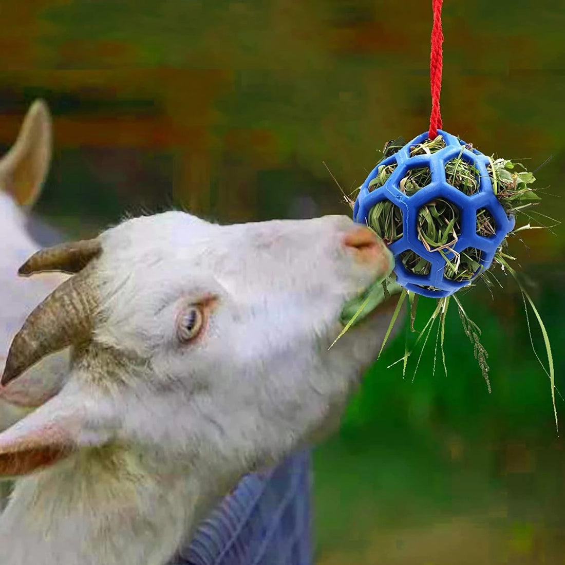 Horse Treat Ball,Goat Feeder Hanging Feeding Toy Horse Treat Hay