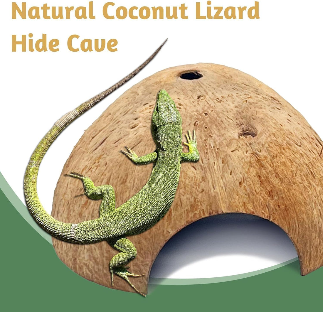 PINVNBY 2 PCS Natural Coconut Reptile Hideouts Lizard Coco Hut Hermit