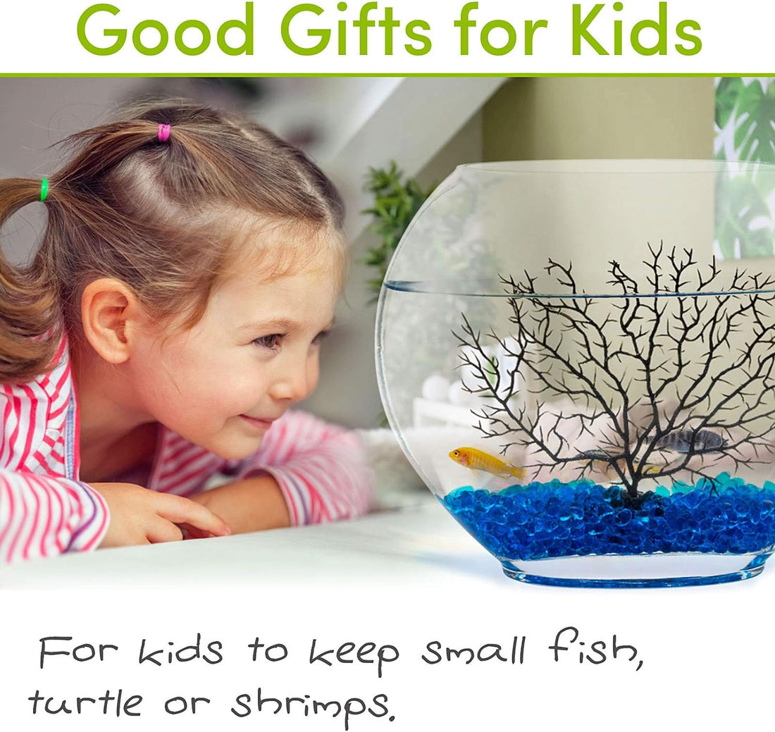 hygger Mini Glass Oblate Fish Bowl Kit