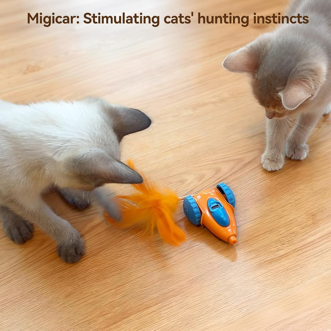Migipaws cat Toy, Automatic Interactive Migicar Toy Like a Mouse