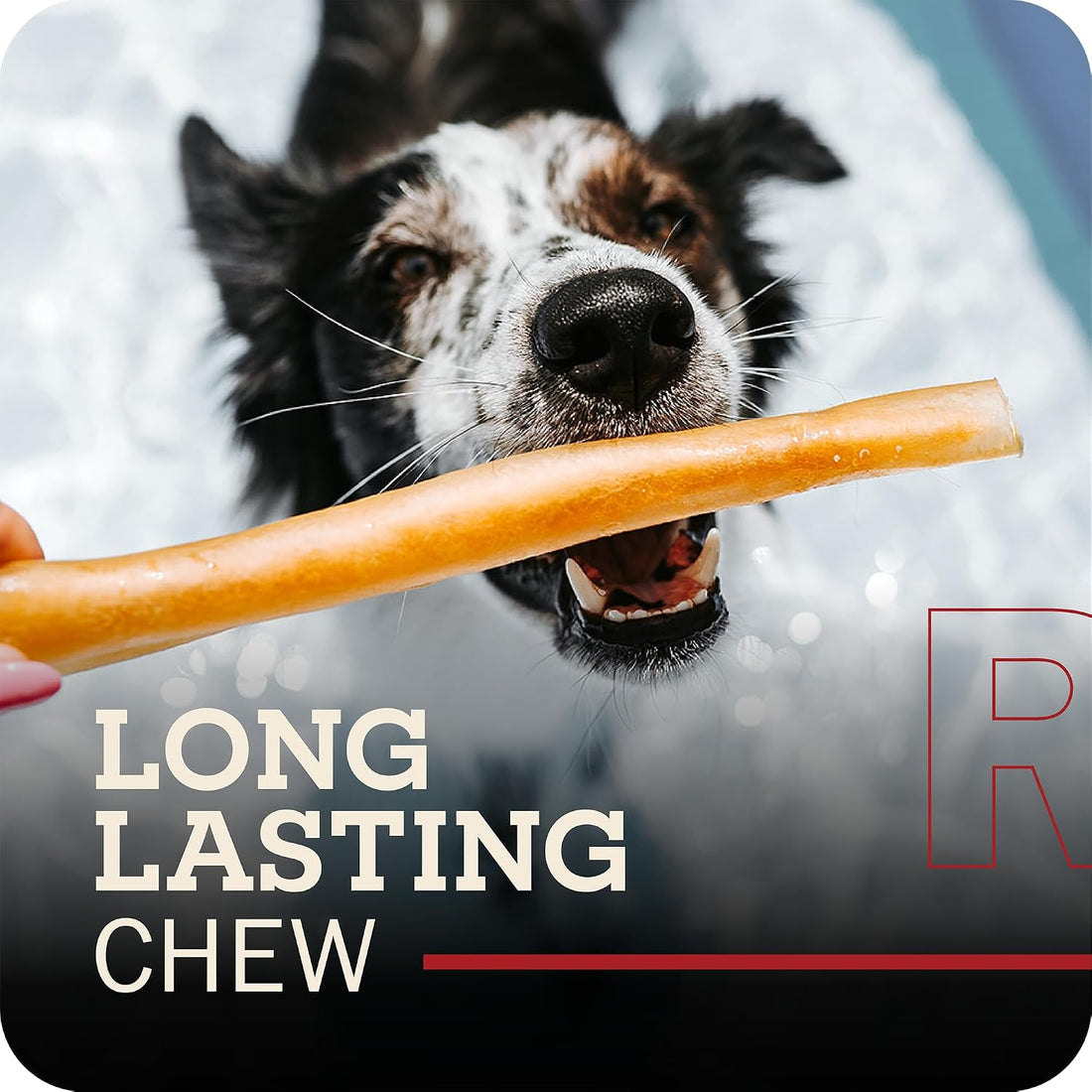 Redbarn Collagen Slims 100% Natural Beef Dog Chew, Single Ingredient