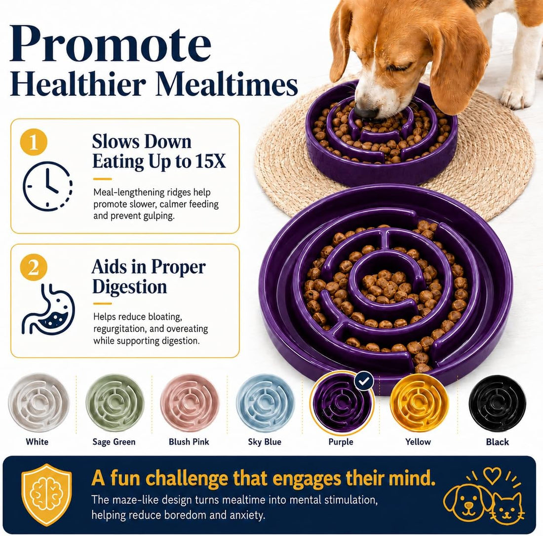 Ceramic Slow Feeder Dog Bowl