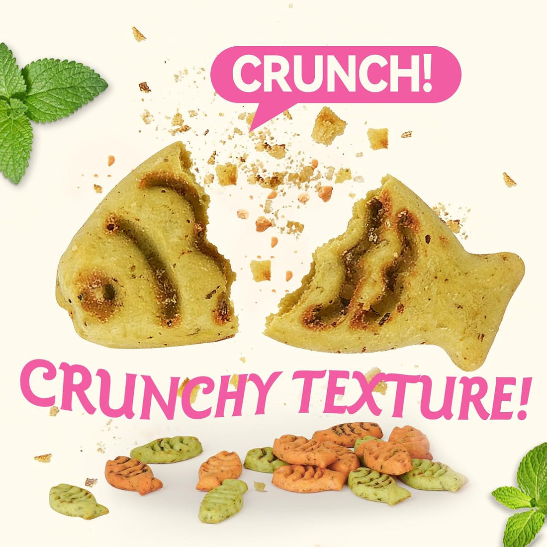 Puddonio Catnip Cat Treats, Chicken & Salmon Flavor Crunchy Cat