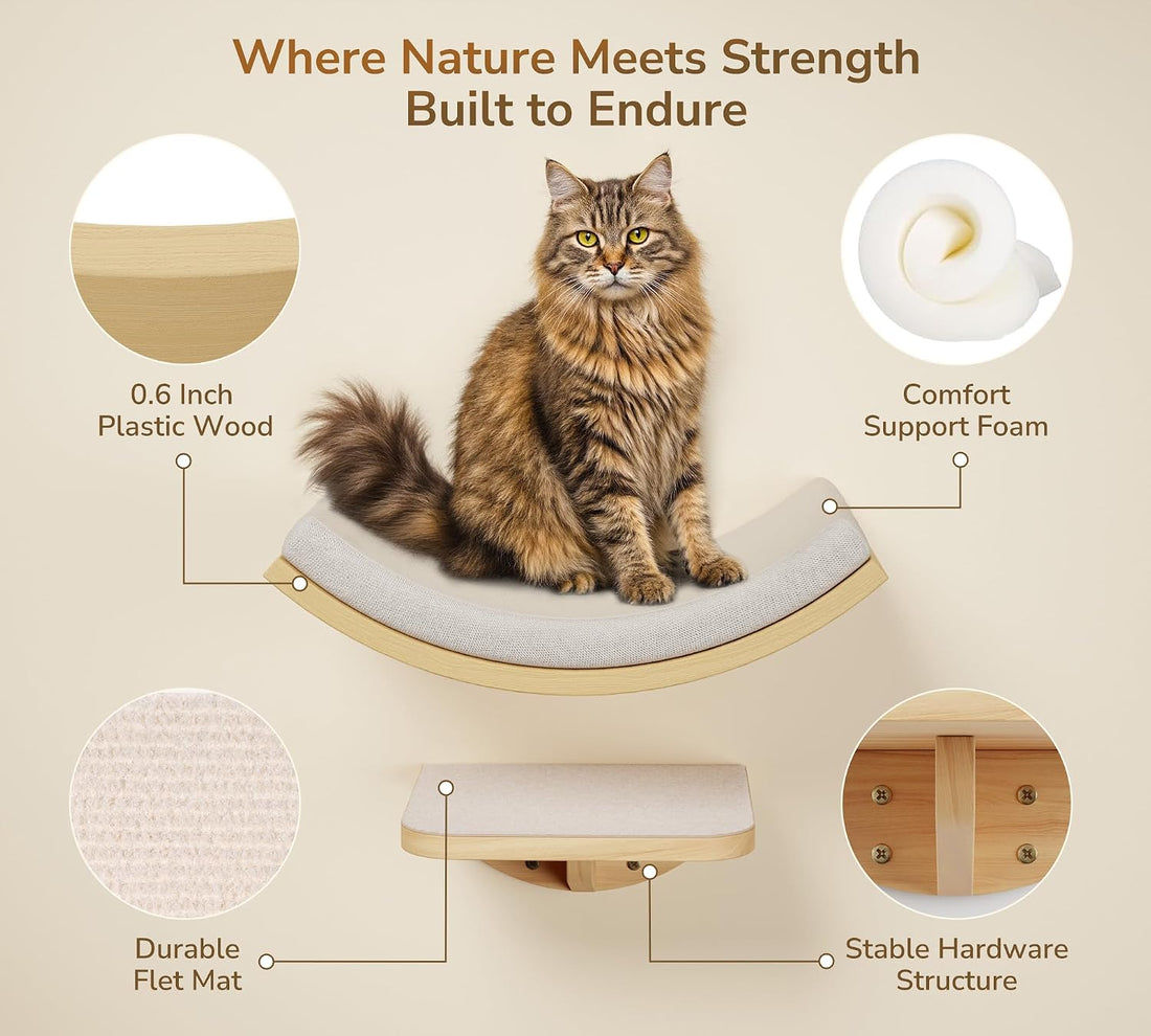 Cat Wall Shelf with Curved Hammock Bed