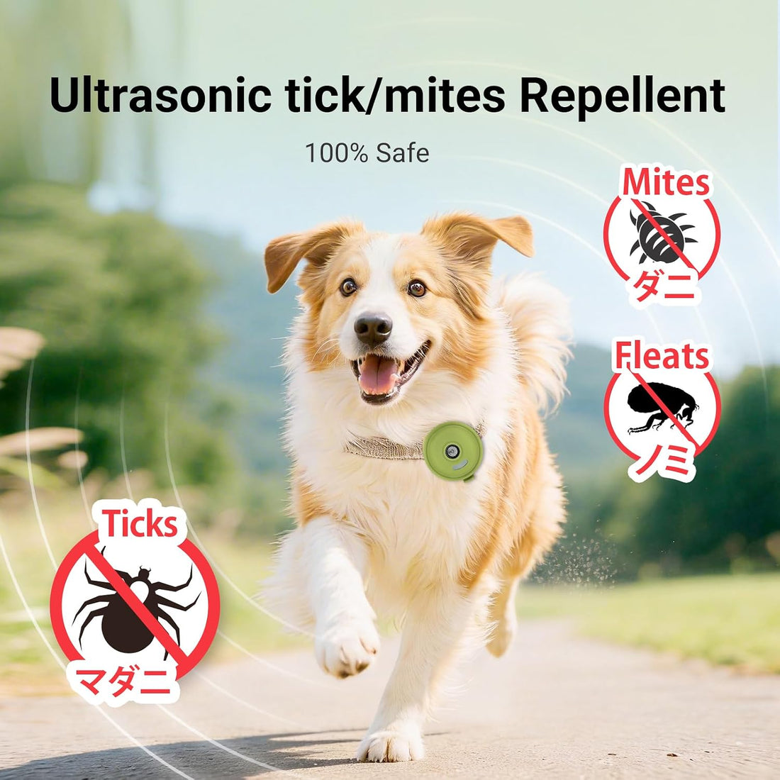 Plike Ultrasonic Dog Collar Accessory, Silent Variable Wearable