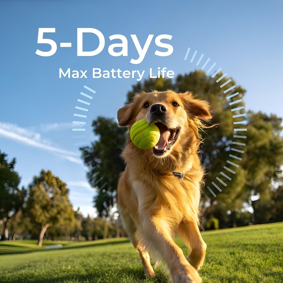 Dog GPS Tracker No Subscription, Off-Grid, Up to 3 Mile Long Range