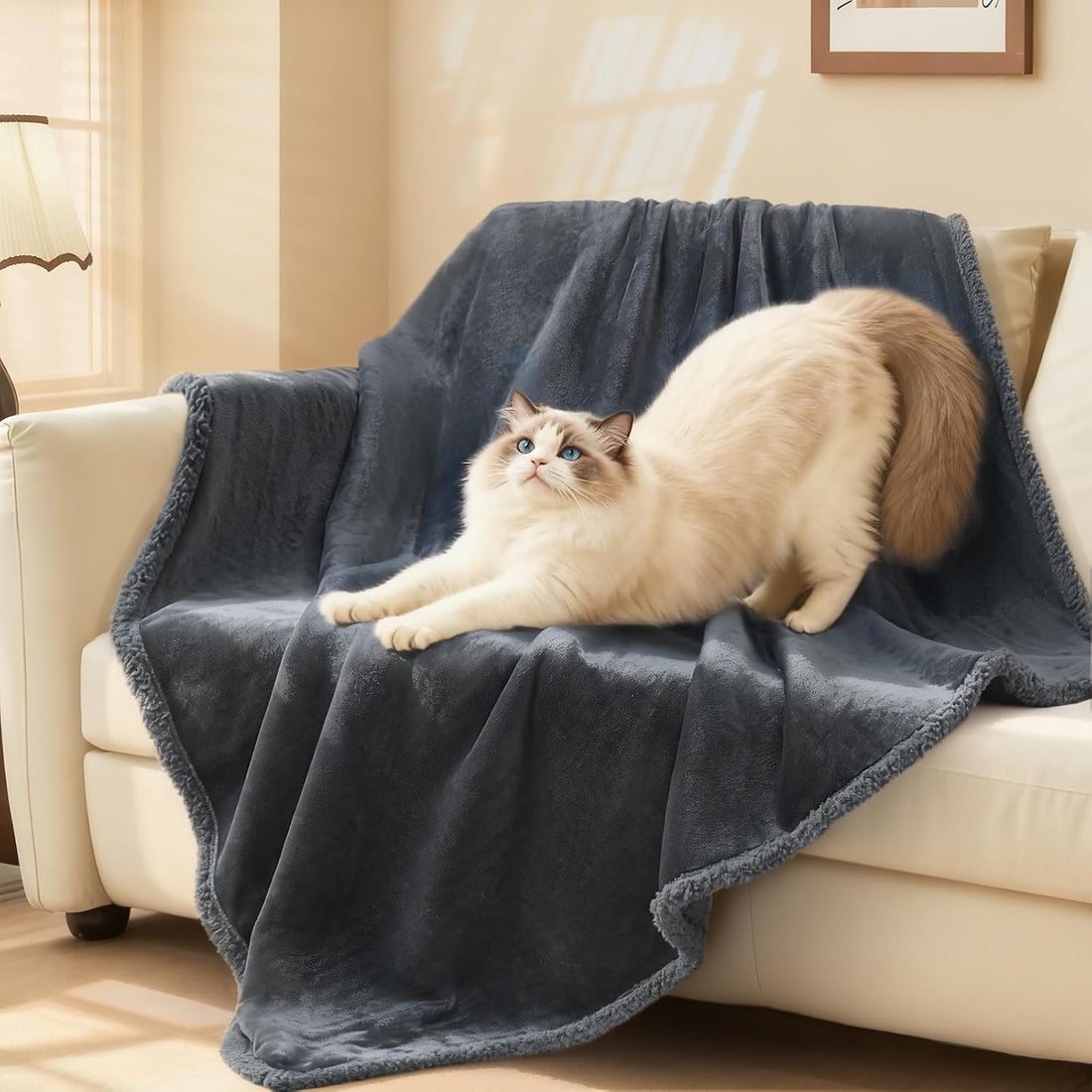 Luciphia Waterproof Pet Blanket