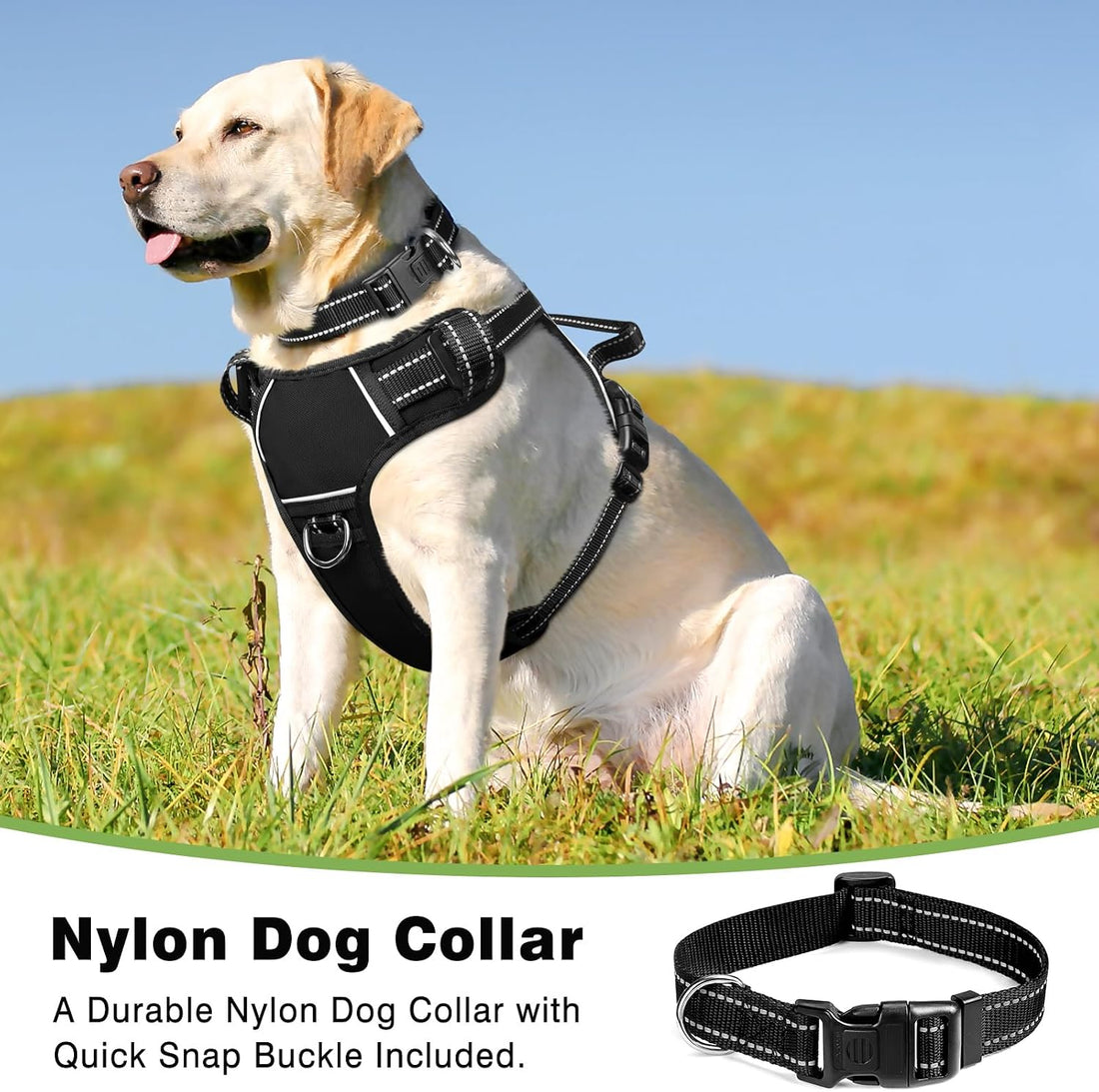 WINSEE Dog/Pet Harnesses No Pull with Dog Collar
