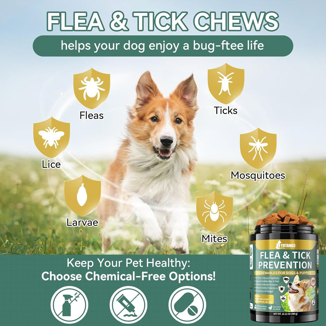 Flea and Tick Prevention for Dogs Chewable, Dog Flea Treatment, 200 Ct