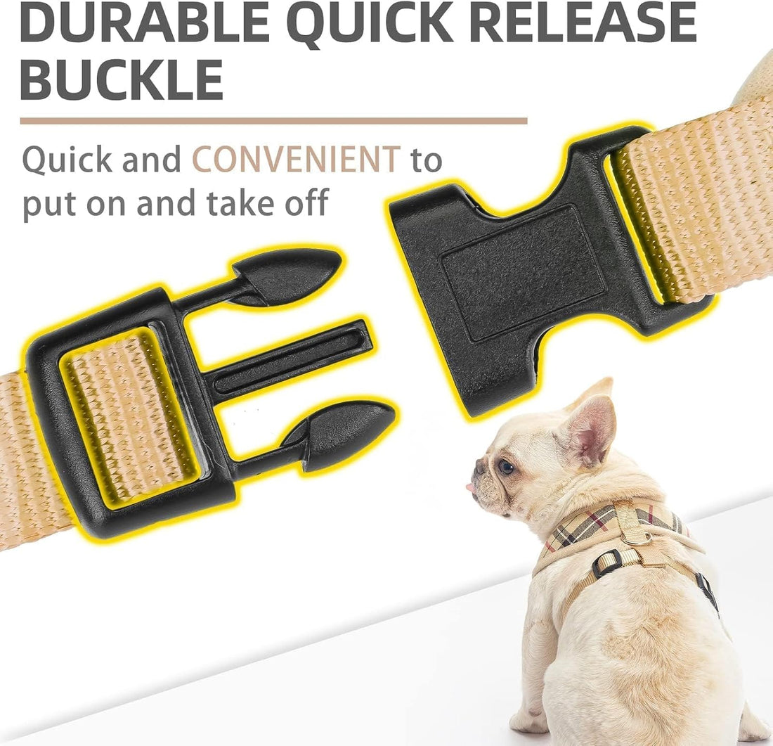PUPTECK Soft Mesh Dog Harness Small Sized and Leash Set Pet Puppy Cat