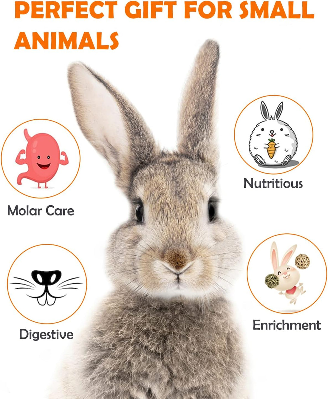 Sofier 12Pcs Timothy Hay Treats Rabbit Toys Bunny Toys Guinea Pig