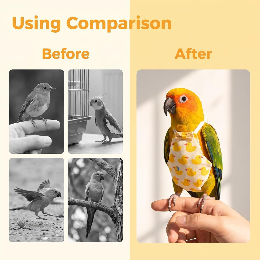 6 PCS Bird Diapers Reusable Parrot Diaper with Waterproof Inner