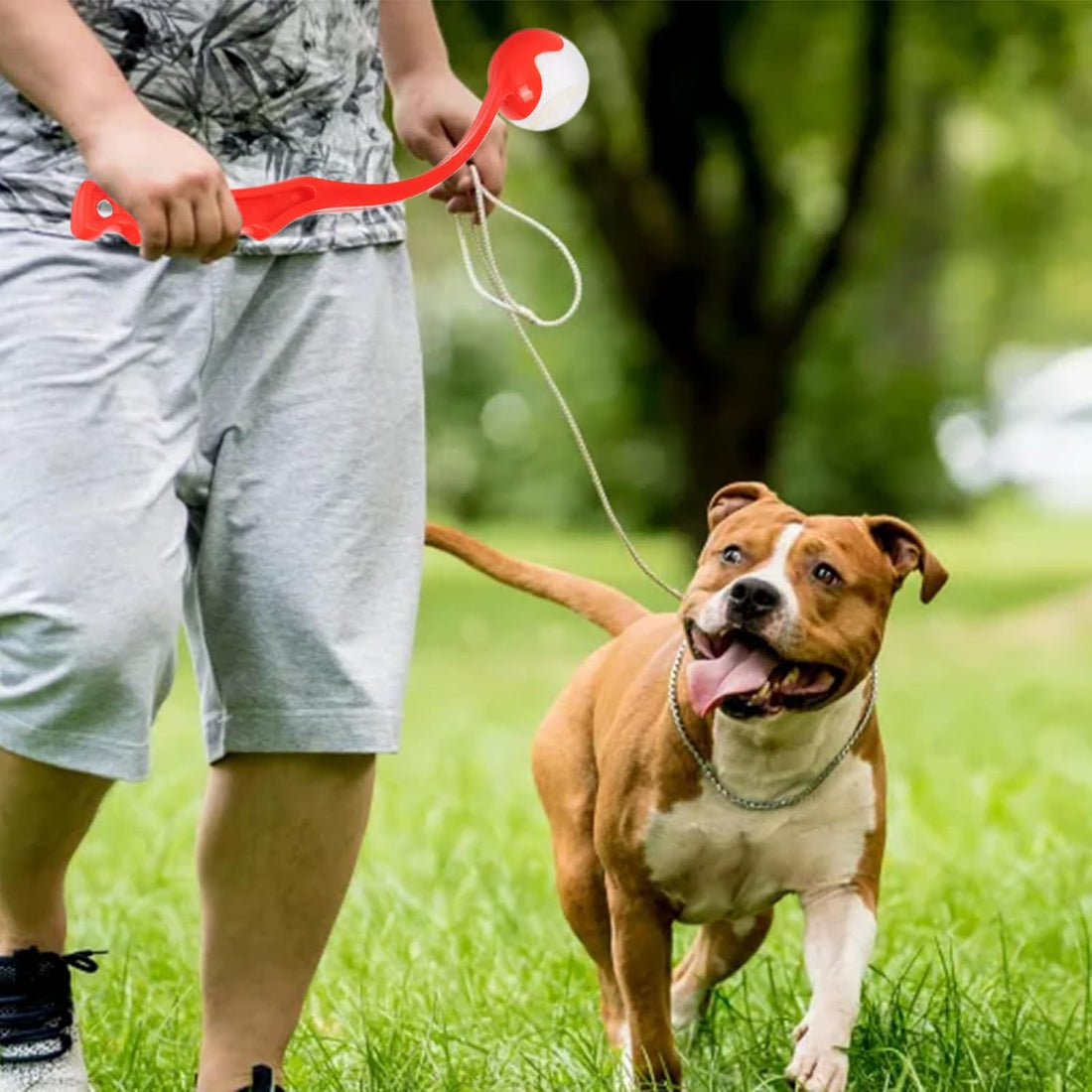 Tennis Ball Thrower for Dogs,Dog Ball Launcher for Dogs 15 Inch