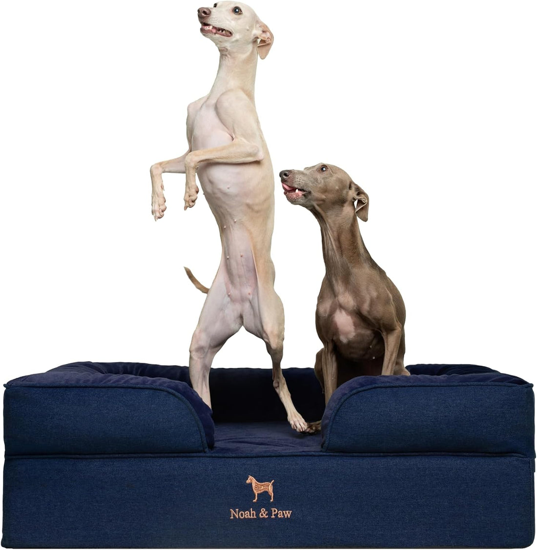 NOAH & PAW XXL Dog Bed, Orthopedic Memory Cooling Foam 55x45x11in