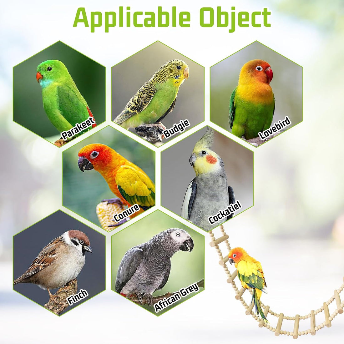 BNOSDM Long Bird Ladder Bridge 39.4 in Wooden Parakeet Climbing