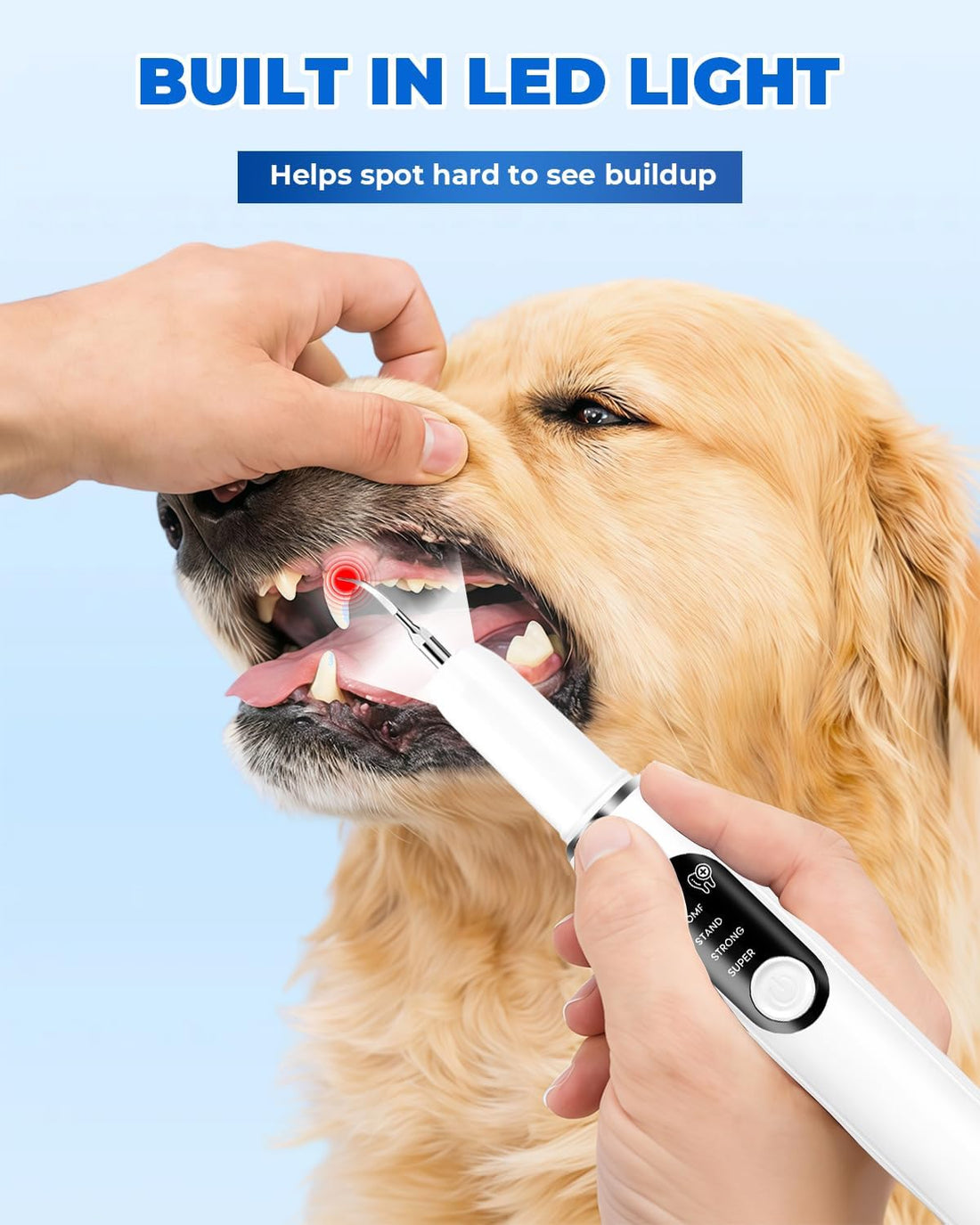 PATWING Dog Plaque Remover, Dog Tooth Brushing kit