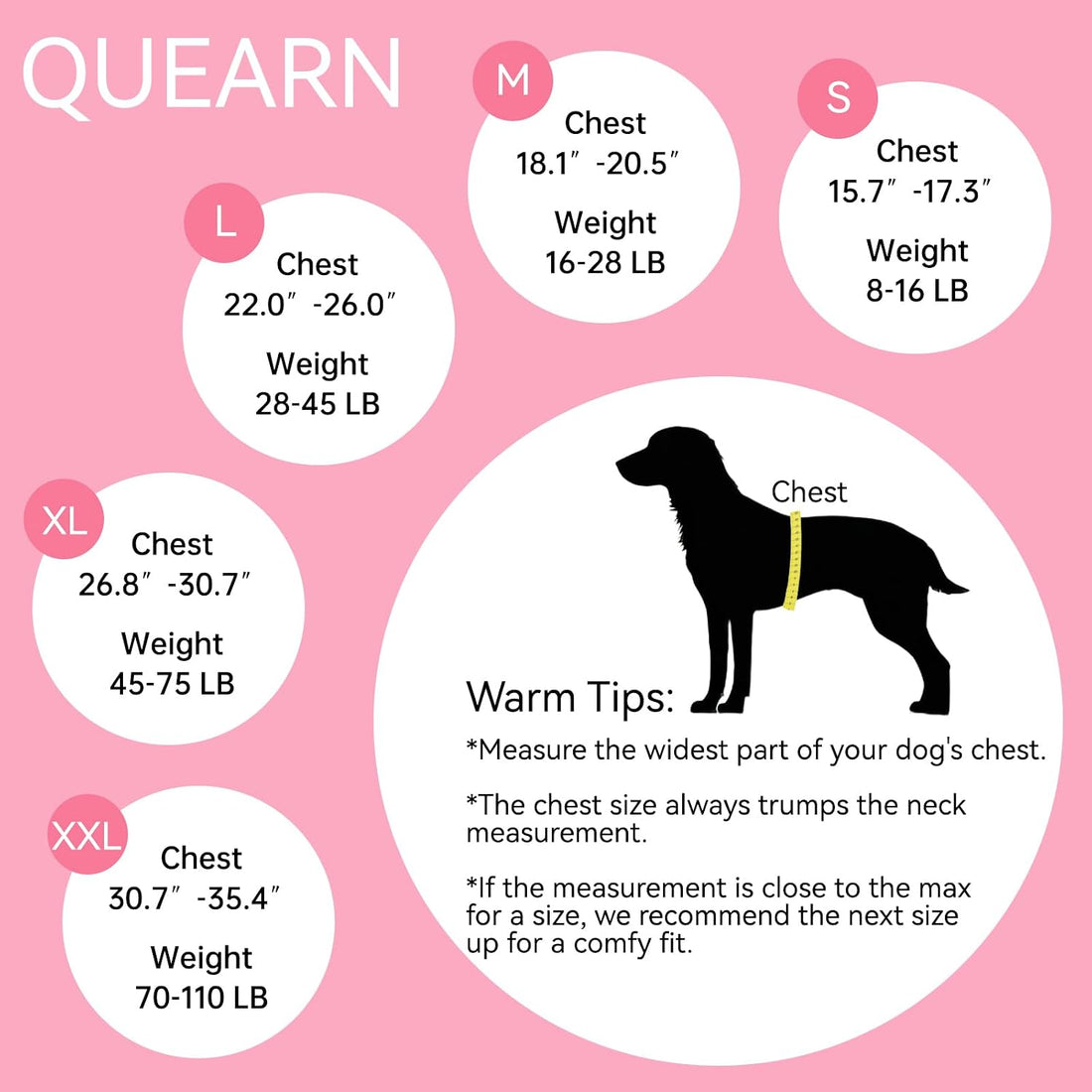 Dog Recovery Suit for After Neuter Spay Abdominal Wounds Protector