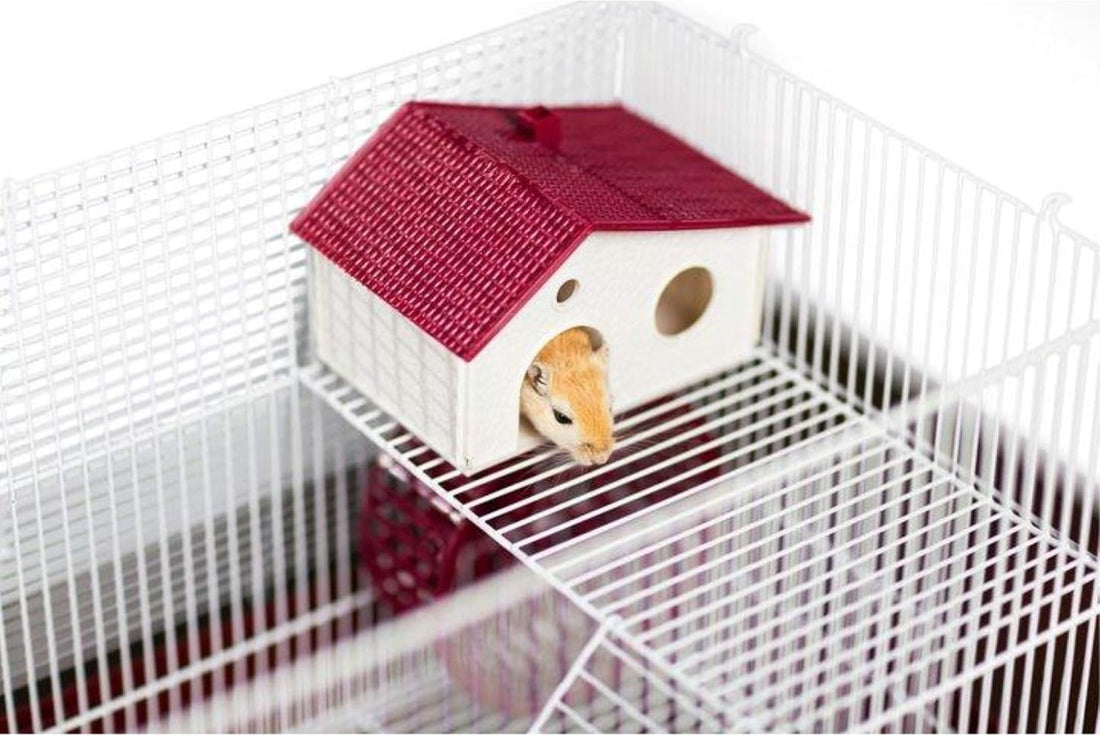 Prevue Pet Products Playpen Cover, Protects Floors & Carpets - Green