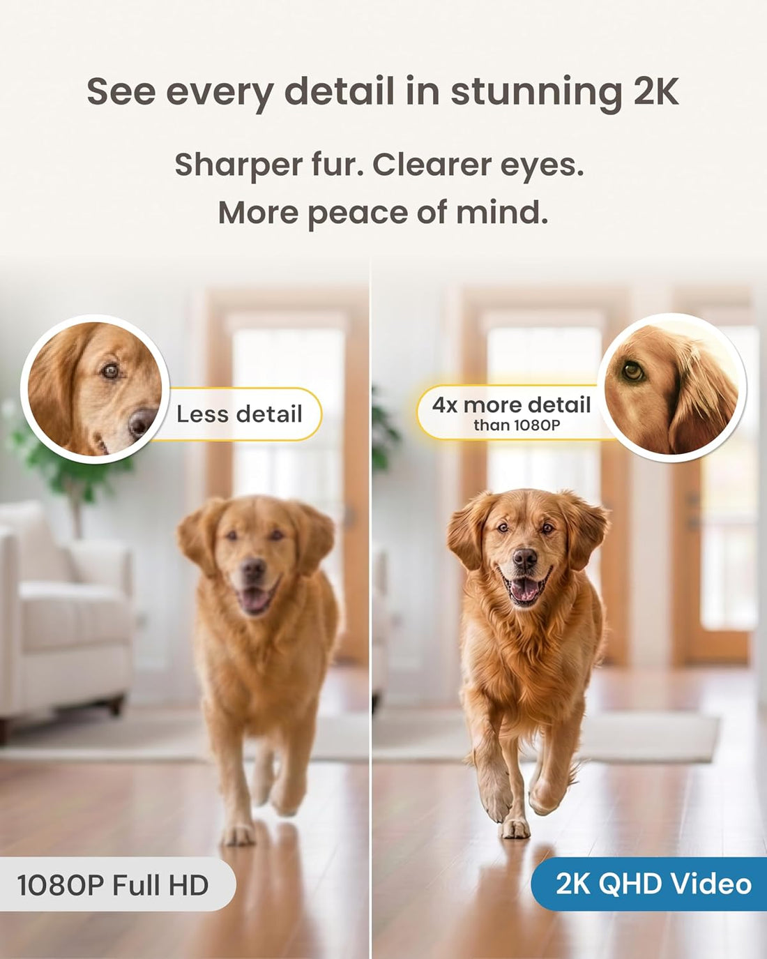 Furbo Mini 360° Pet Camera [Paid Plan Required to Activate]