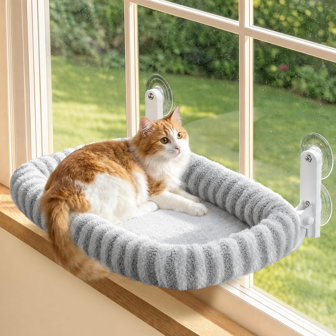Zakkart Mellow Foldable Cat Window Perch, Upgraded Suction Cups