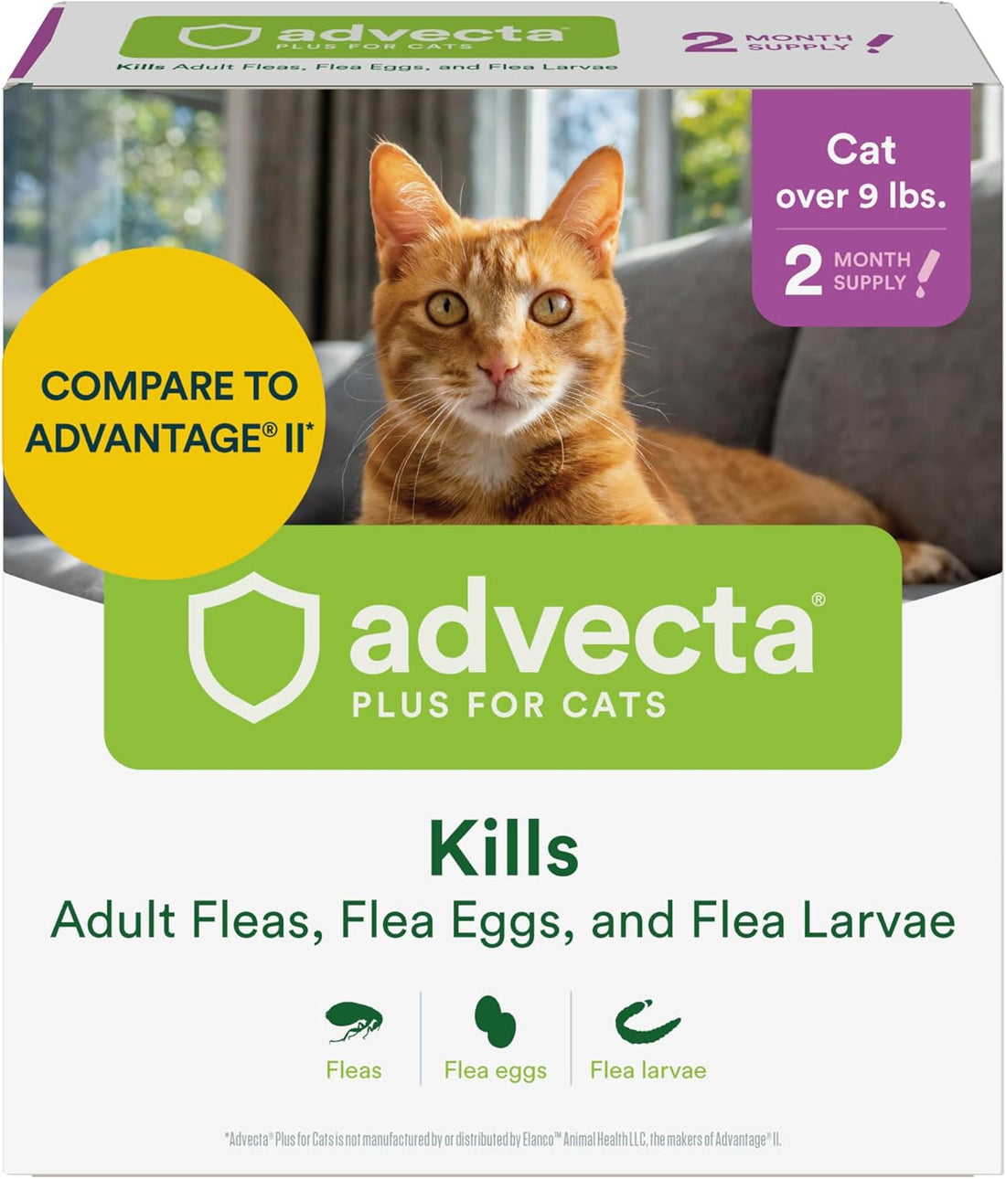 Advecta Plus Cat Flea Treatment 5-9 lbs, Imidacloprid, 4-Month