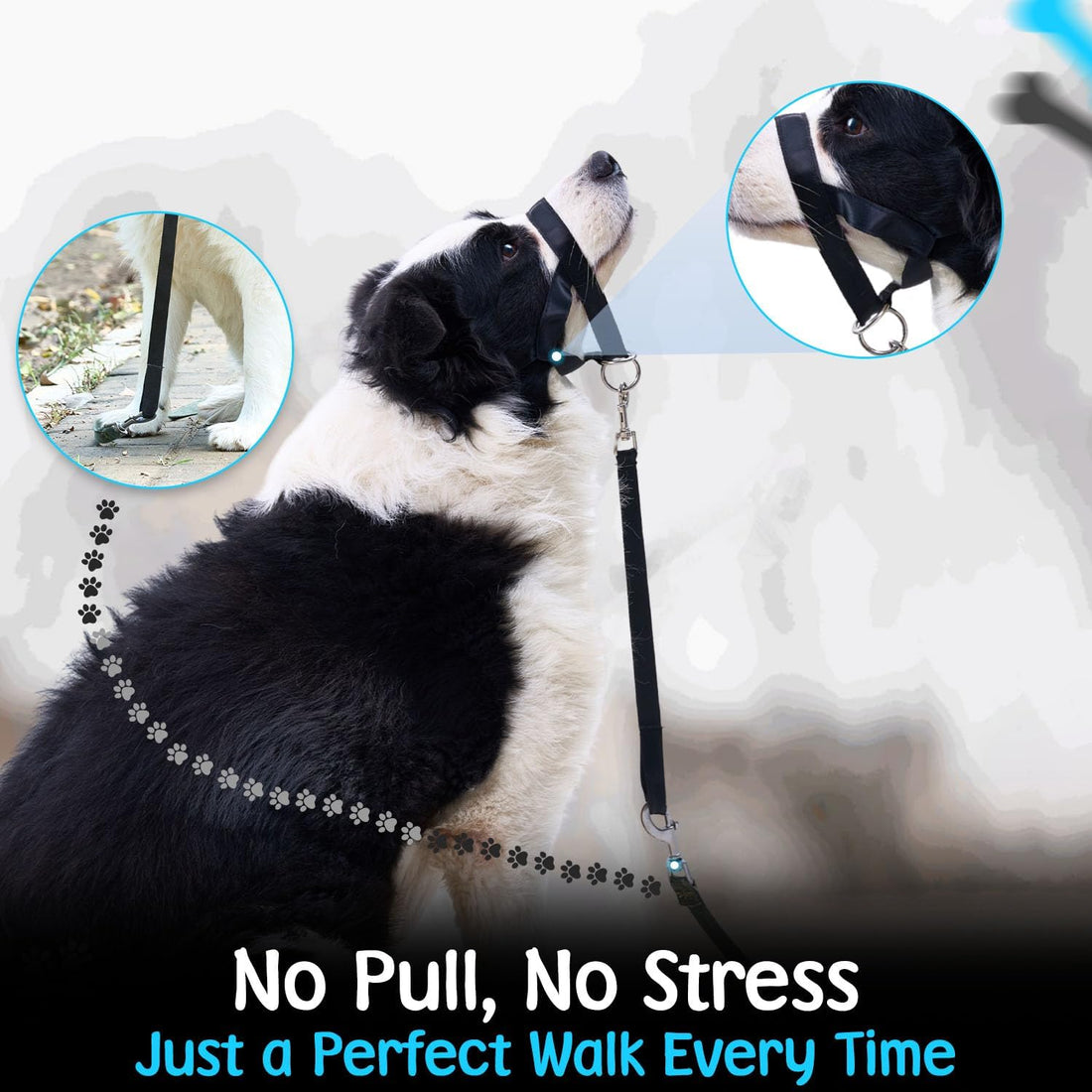 Gentle Leader for Dogs + 2X Free Training Clicker