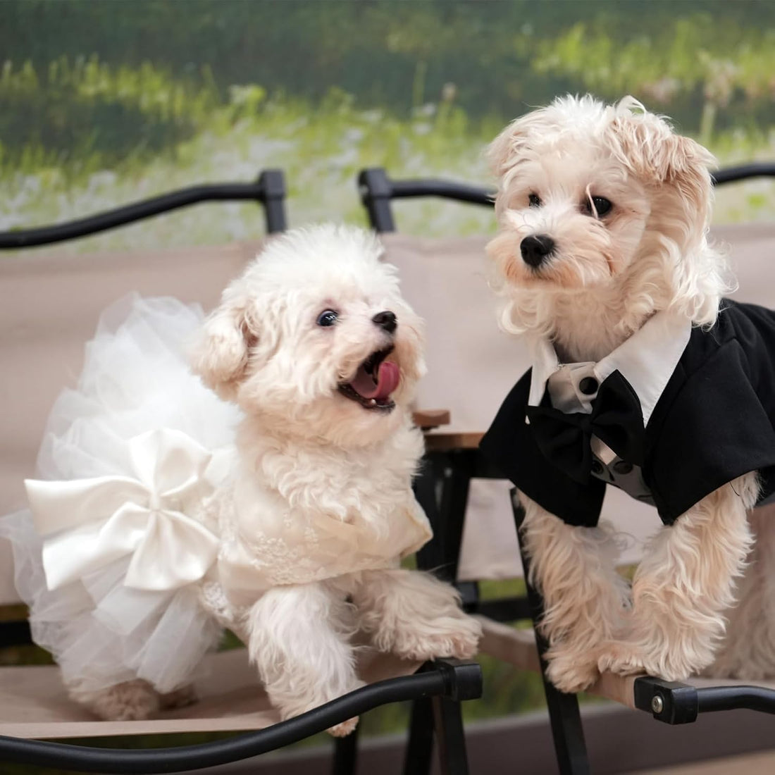 Dog Dress,Pet Wedding Dress Princess Formal Tutu Skirt