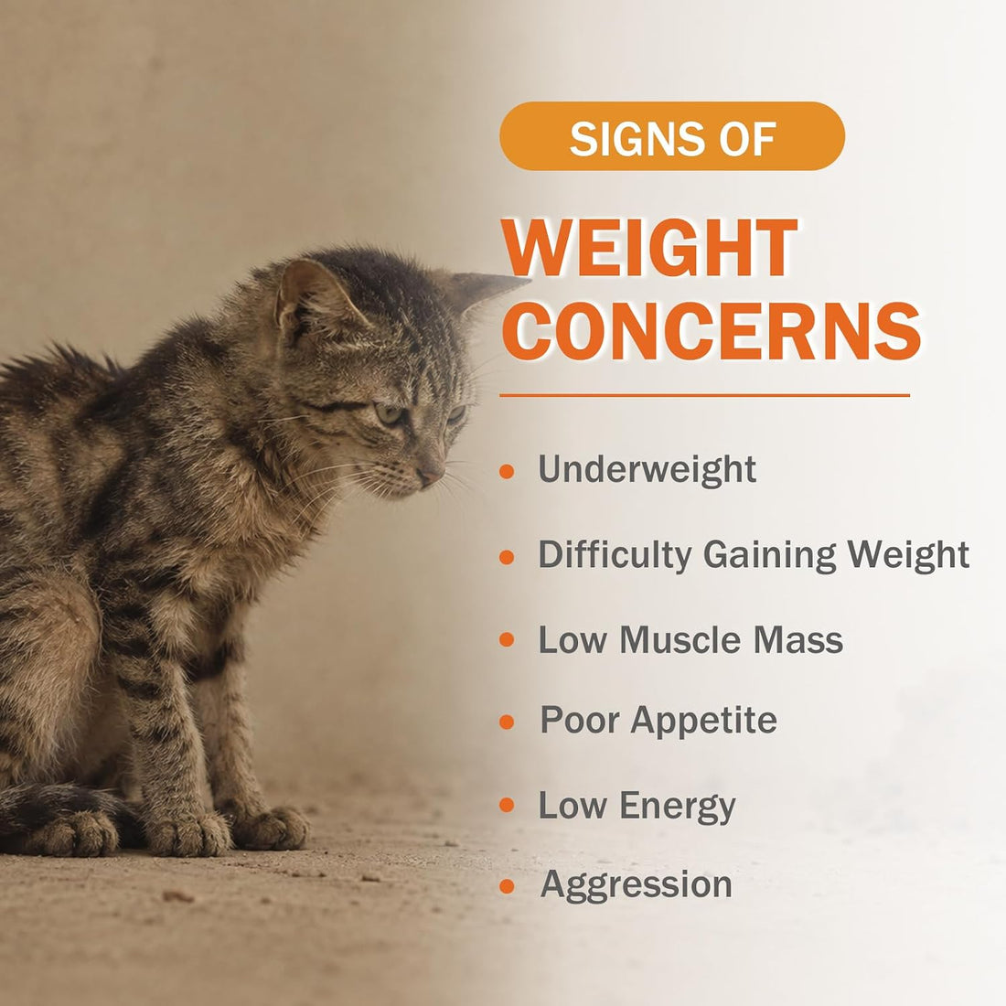 Lickable Cat Treats, High Calorie Nutrition Paste for Cats