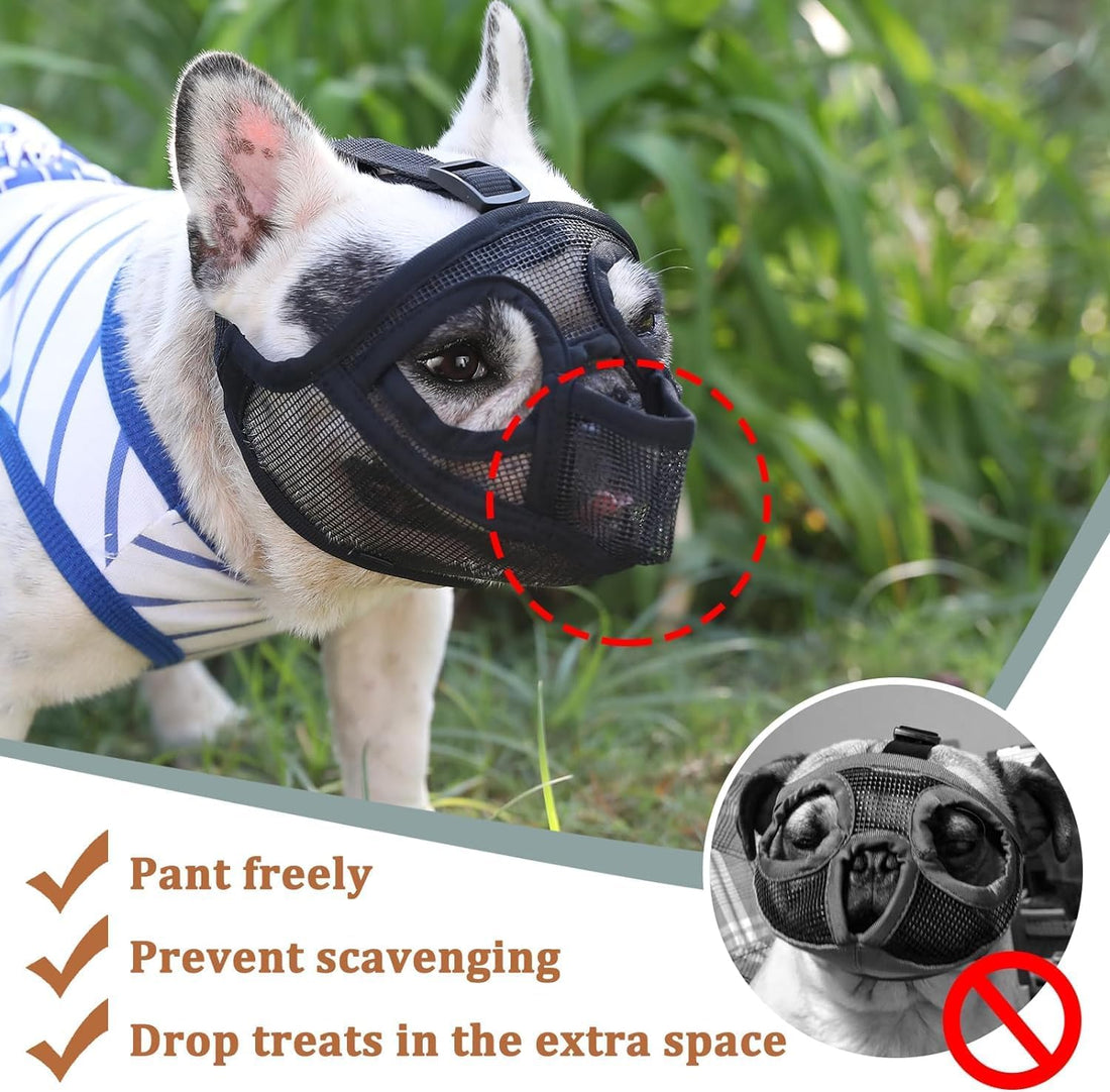 Mayerzon English Bulldog Muzzle