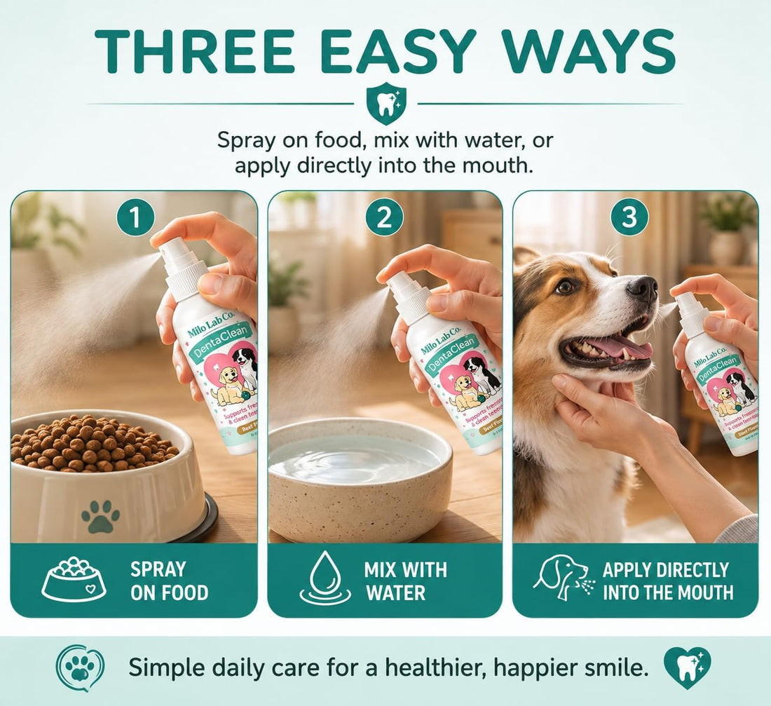 Milolabco Probiotic Dental Spray, Dentaclean Spray for Dogs
