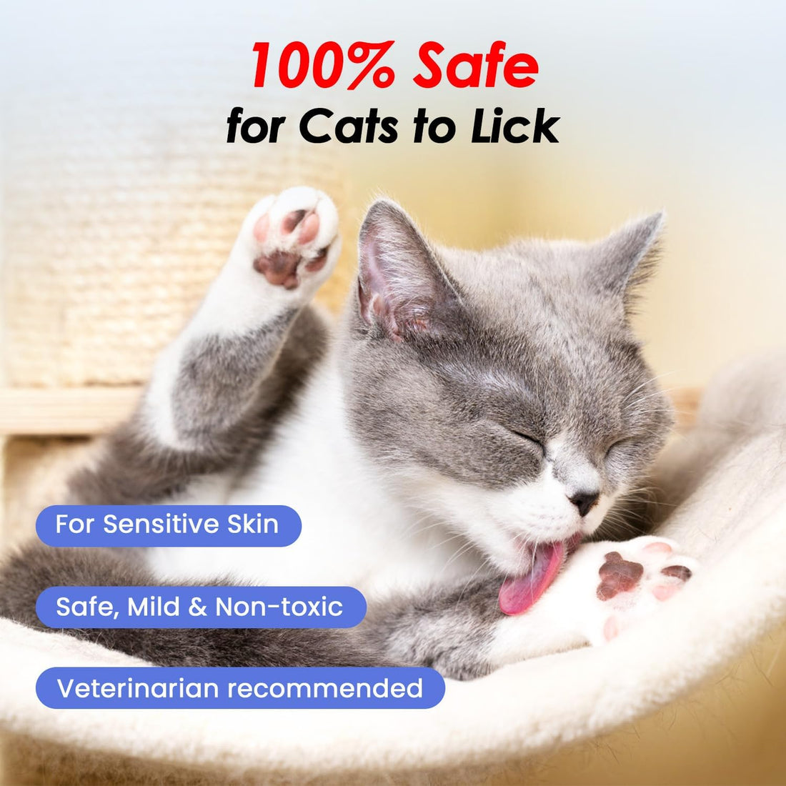 Cat Waterless Shampoo with Brush