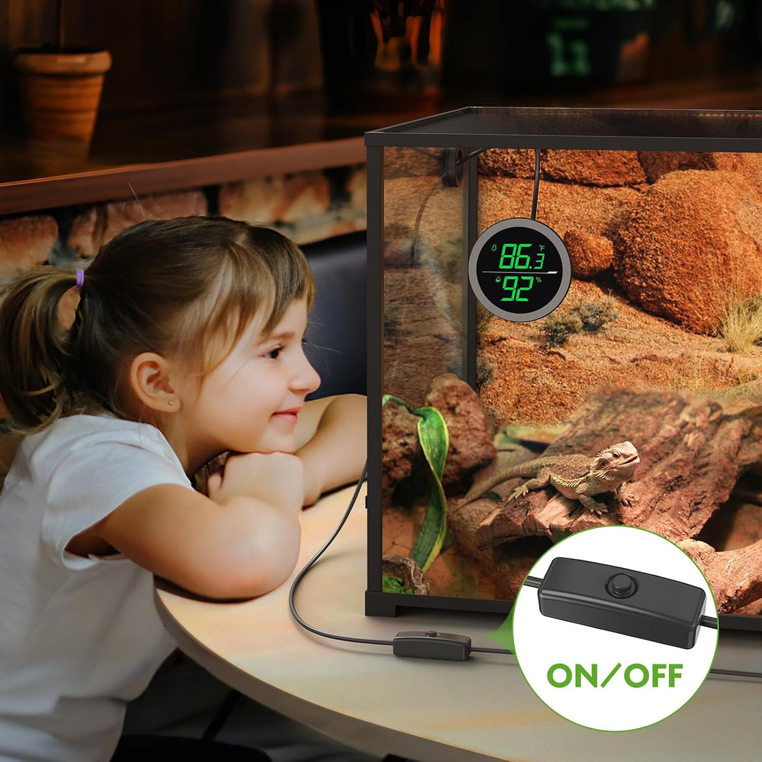 PAIZOO Real-time Display LED Digital Reptile Thermometer and Humidity