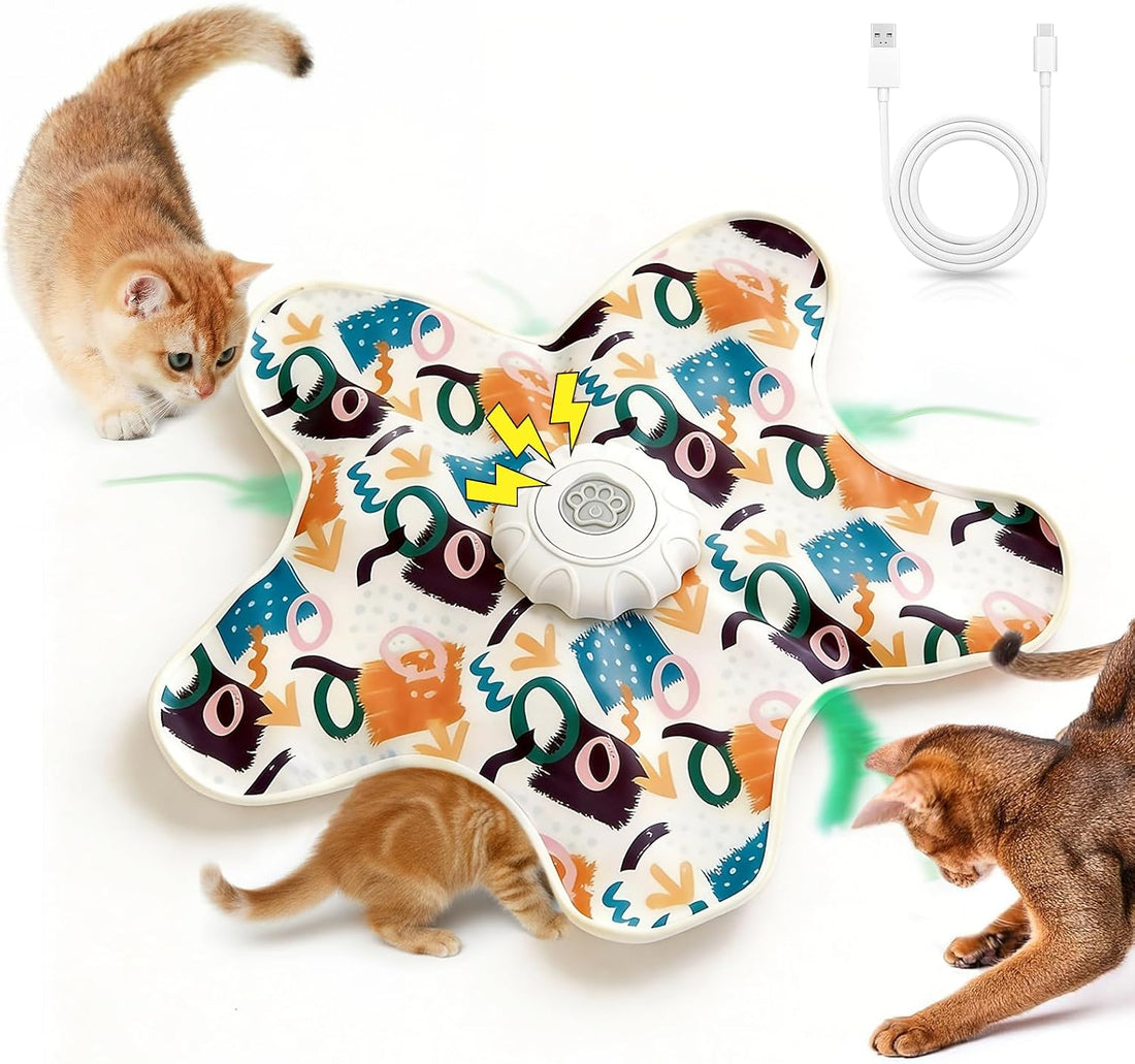 Interactive Touch Activated Hide and Seek Cat Toys for Indoor Cats