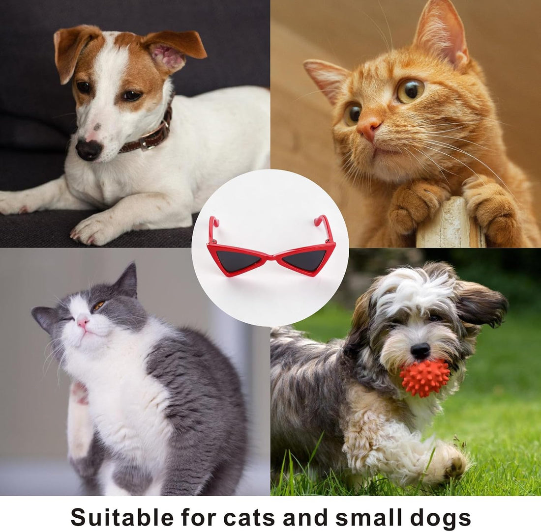 2 PCS Cat and Small Dog Sunglasses