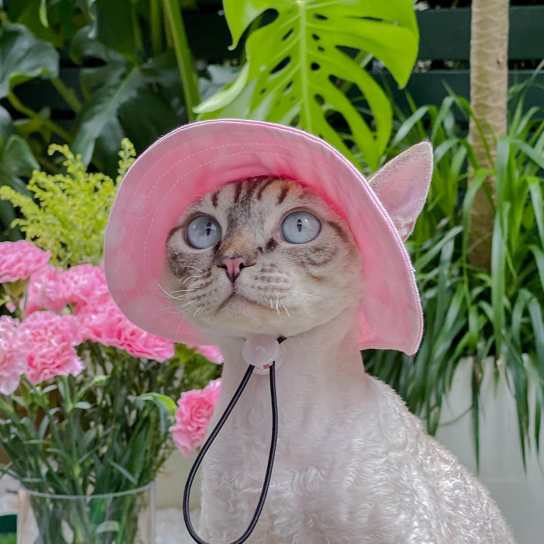 Pet hat with Ear Holes Sunscreen Baseball Cap Suitable for Small