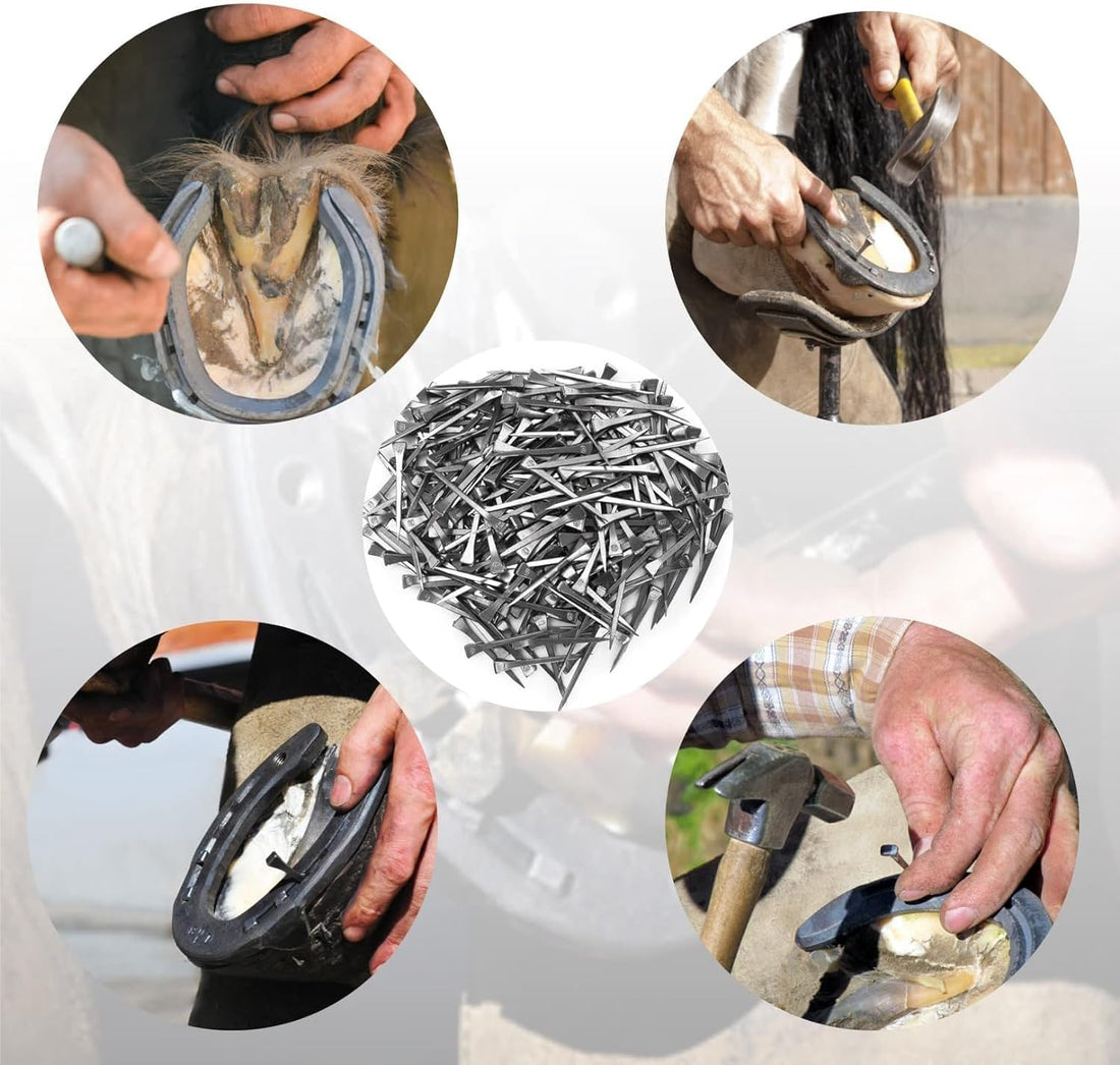 KUIDAMOS 250PCS Horseshoe Nails horseshoe nails e6 Horseshoes
