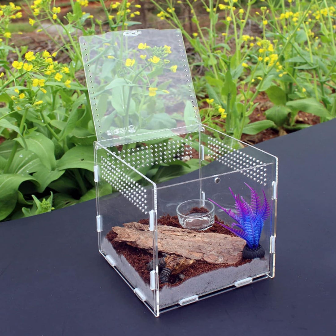 AWXZOM Magnetic Acrylic Case