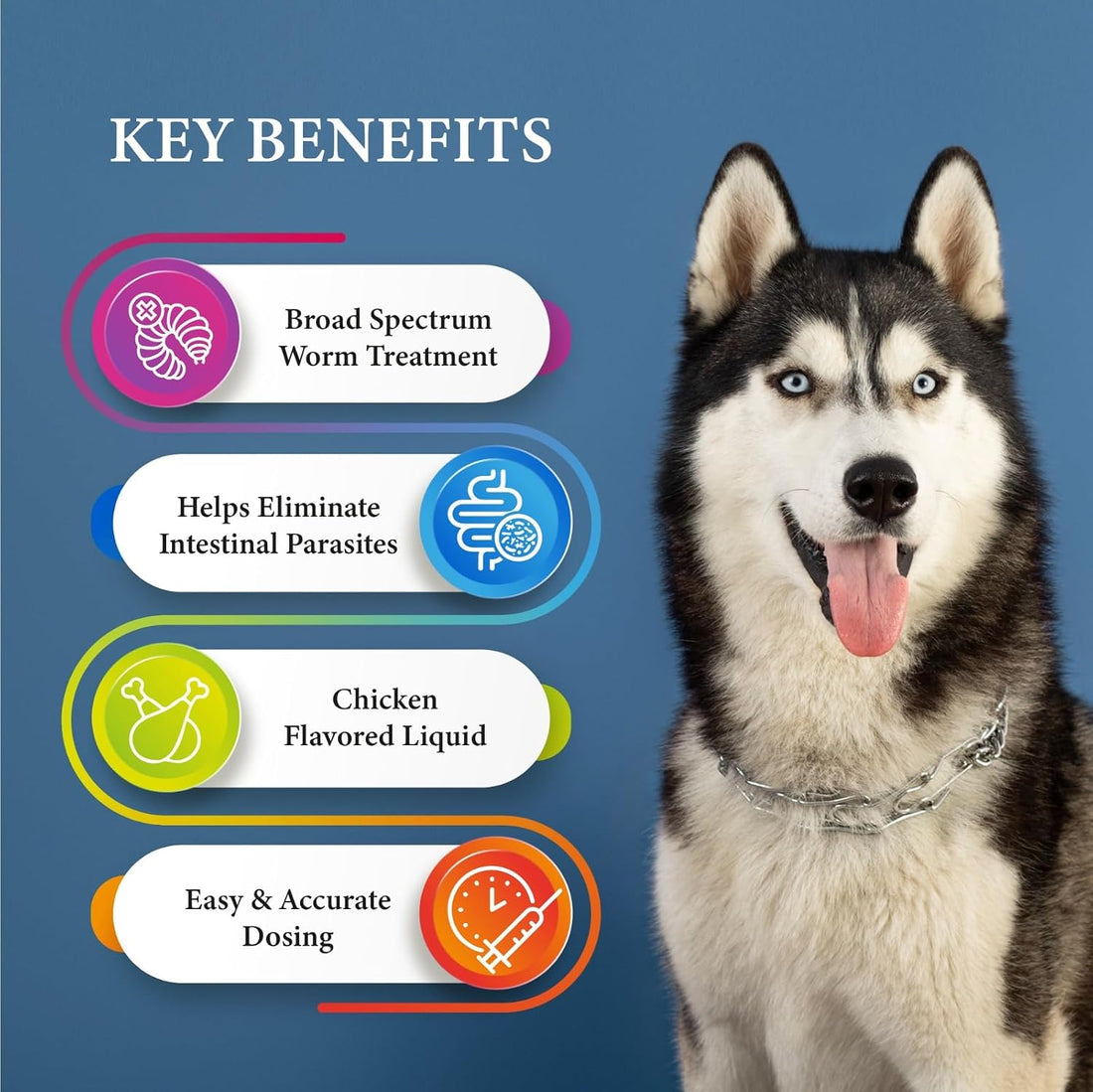 Broad Spectrum Dog Dewormer Treatment 120ml