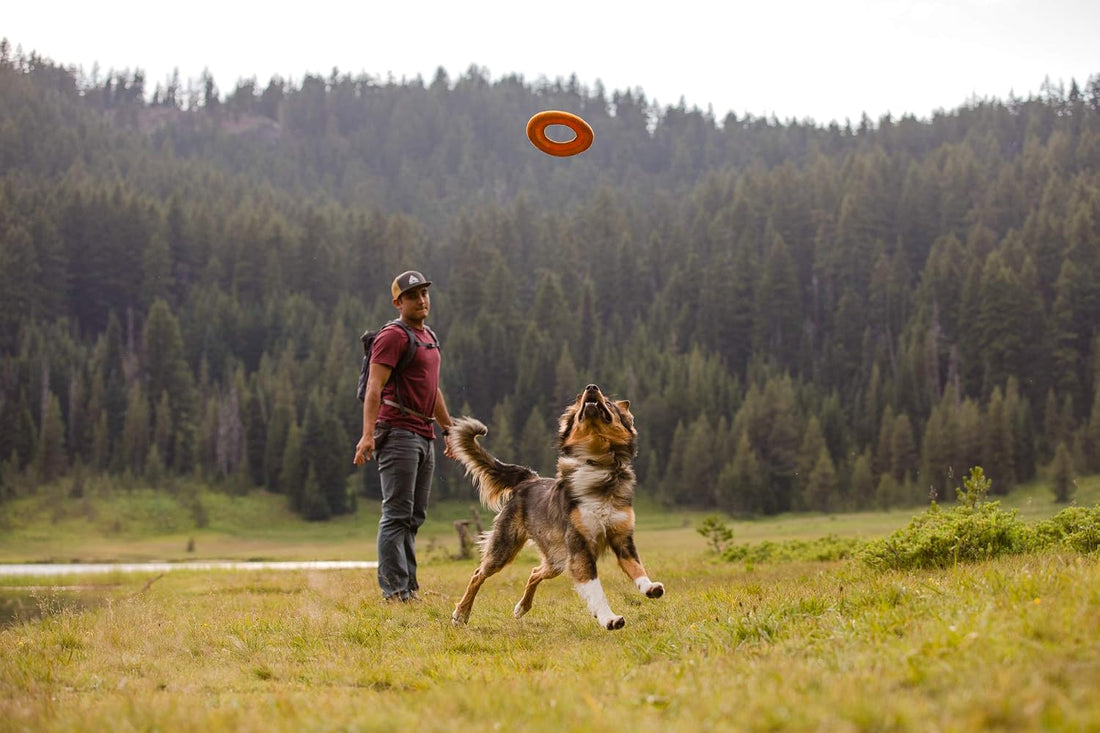 Ruffwear Hydro Plane Floating Dog Flying Disc