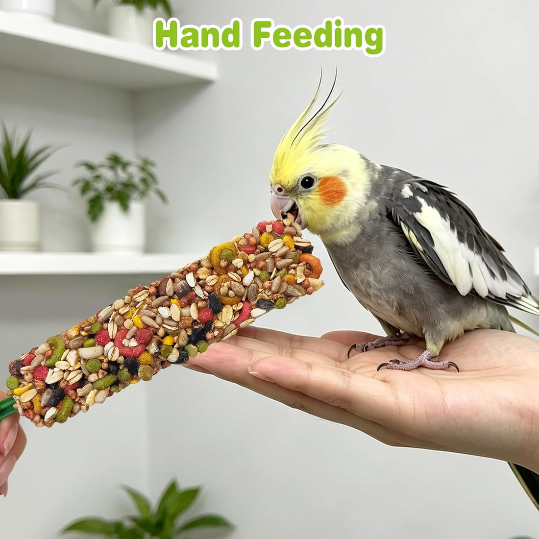 Parakeet Treats Sticks 3 PCS Bird Cereal Snacks Natural Chewing Toys